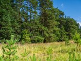 Parduodamas Pilnai Įrengtas 4 Kambarių - nuotraukos Nr. 27