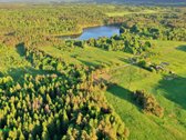 Šis erdvus 65 arų sklypas įsikūręs Aidiečių - nuotraukos Nr. 4