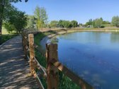 Prie pat miesto centro, ramiame naujame - nuotraukos Nr. 11