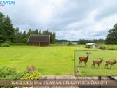 Sutvarkyta ir jauki sodyba, apsupta gamtos, - nuotraukos Nr. 3