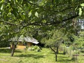Parduodamas sodo sklypas Vosyliukuose su - nuotraukos Nr. 8