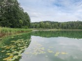 Išskirtinio ežero pakrantėje parduodamas - nuotraukos Nr. 19