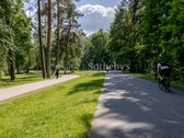 Tai išskirtinė galimybė susikurti laikui - nuotraukos Nr. 8