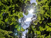 Tai išskirtinė galimybė susikurti laikui - nuotraukos Nr. 10