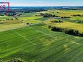 Parduodamas Žemės Ūkio Paskirties 1,65 Ha - nuotraukos Nr. 5