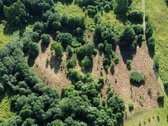 69 arų namų valdos sklypas prie Bebrusų upės - nuotraukos Nr. 2