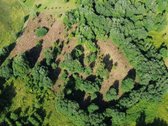 69 arų namų valdos sklypas prie Bebrusų upės - nuotraukos Nr. 11
