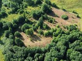 69 arų namų valdos sklypas prie Bebrusų upės - nuotraukos Nr. 13