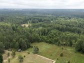 Dzūkijos Pušynuose Šalia Merkio Upės - nuotraukos Nr. 29