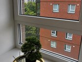 Butas laisvas ir paruoštas gyvenimui iš karto. - nuotraukos Nr. 9