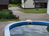 Parduodamas Sodyba Netoli Ragožės Ir Zapsio - nuotraukos Nr. 21