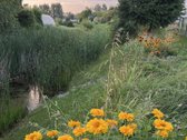 Parduodamas tvarkingas sodo namas Janališkių - nuotraukos Nr. 11