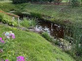 Parduodamas tvarkingas sodo namas Janališkių - nuotraukos Nr. 12