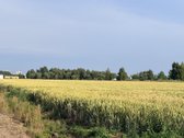 Parduodami namų valdos sklypai privačiame, - nuotraukos Nr. 12