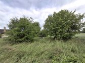 Gyvenamasis namas su žemės sklypu ir - nuotraukos Nr. 24
