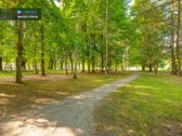 Gyvenkite Šviesos, Erdvės Ir Miško - nuotraukos Nr. 32