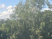 2026 m. rugpjūčio m. 31 d. išnuomojamas butas. - nuotraukos Nr. 8