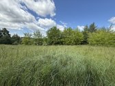 Parduodamas Erdvus Sklypas Zuikinėje, Kaune – - nuotraukos Nr. 3
