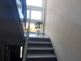 Išnuomojamas tvarkingas, šviesus 2 kambarių butas - nuotraukos Nr. 9