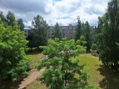 Nuomojamas tvarkingas 2 nepereinamų kambarių - nuotraukos Nr. 9