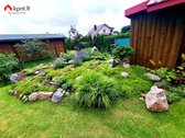 Parduodamas Jaukus Rąstinis Namas Arlaviškių - nuotraukos Nr. 8