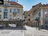 Išskirtinis Pasiūlymas Pačiame Vilniaus - nuotraukos Nr. 20