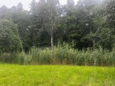 Parduodamas Jaukus Didelis Sklypas Su - nuotraukos Nr. 6