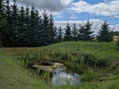 Lazdijų r. sav. Šeštokų sen., Gudeliškės k. - nuotraukos Nr. 25