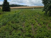 Lazdijų r. sav. Šeštokų sen., Gudeliškės k. - nuotraukos Nr. 24