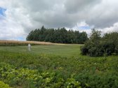Lazdijų r. sav. Šeštokų sen., Gudeliškės k. - nuotraukos Nr. 26