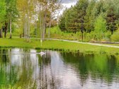 Parduodamas jaukus ir stilingas 1 kambario - nuotraukos Nr. 44