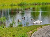 Parduodamas jaukus ir stilingas 1 kambario - nuotraukos Nr. 45