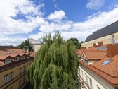 Pačioje Vilniaus širdyje priešais Katedrą - nuotraukos Nr. 7