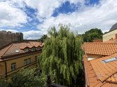 Pačioje Vilniaus širdyje priešais Katedrą - nuotraukos Nr. 8