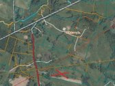 Parduodama 2,95 ha iš bendro 11,8261 ha ploto - nuotraukos Nr. 2