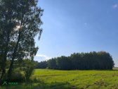 Gireišių kaime, parduodama rąstinė sodyba su - nuotraukos Nr. 15