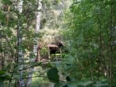 Nedidelė jauki sodybėlė tikram poilsiui - nuotraukos Nr. 39