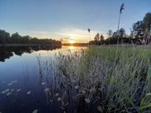 Nedidelė jauki sodybėlė tikram poilsiui - nuotraukos Nr. 42