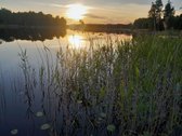 Nedidelė jauki sodybėlė tikram poilsiui - nuotraukos Nr. 44