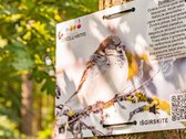 Parduodamas jaukus 2 kambarių butas, - nuotraukos Nr. 25