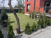 Parduodamas Naujai Įrengtas 2 Kambarių Butas - nuotraukos Nr. 18