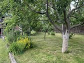Jūsų ramybės kampelis gamtos apsuptyje! - nuotraukos Nr. 16
