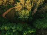 Parduodamas 1,06 Ha Sklypų Masyvas Ant - nuotraukos Nr. 7