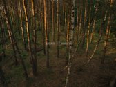 Parduodamas 1,06 Ha Sklypų Masyvas Ant - nuotraukos Nr. 10