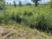 Parduodamas Kėdainių R., Josvainių Sen., - nuotraukos Nr. 12