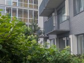 Išnuomojamas Stilingas 2 Kambarių Butas Su - nuotraukos Nr. 19