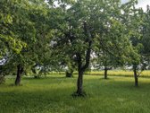 Vos už 40 km nuo Vilniaus, privažiavimas - nuotraukos Nr. 11