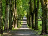 Vos kelios minutės pėsčiomis iki Vingio parko - nuotraukos Nr. 12
