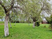 Ramus Ir Praktiškas Gyvenimas Ežerų Ir Miškų - nuotraukos Nr. 7