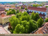 Vos kelios minutės pėsčiomis iki Vingio parko - nuotraukos Nr. 13